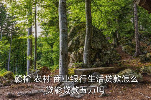  贛榆 農(nóng)村 商業(yè)銀行生活貸款怎么貸能貸款五萬嗎