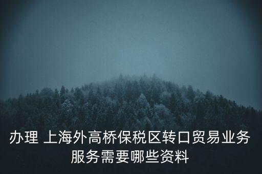 辦理 上海外高橋保稅區(qū)轉(zhuǎn)口貿(mào)易業(yè)務(wù)服務(wù)需要哪些資料