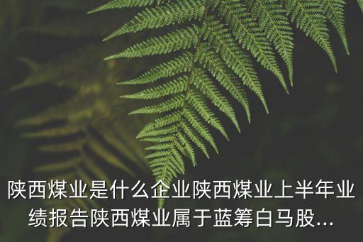 陜西煤業(yè)是什么企業(yè)陜西煤業(yè)上半年業(yè)績報(bào)告陜西煤業(yè)屬于藍(lán)籌白馬股...