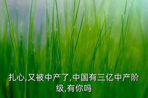 扎心,又被中產(chǎn)了,中國(guó)有三億中產(chǎn)階級(jí),有你嗎