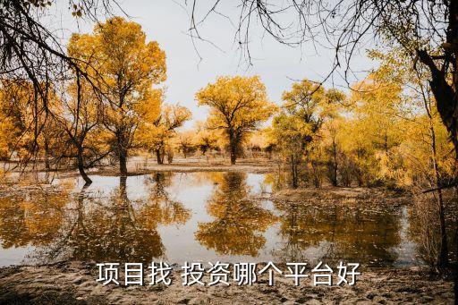 項(xiàng)目找 投資哪個(gè)平臺(tái)好