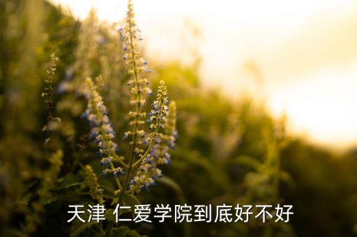 天津仁愛(ài)集團(tuán)馬如仁,仁愛(ài)地產(chǎn)董事長(zhǎng)馬如仁