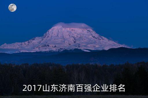 上海新南山集團,上海南山集團股份有限公司津巴布韋