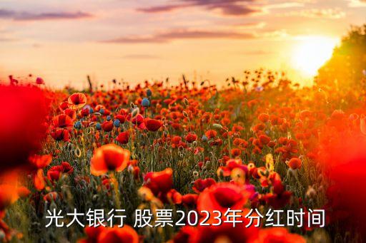  光大銀行 股票2023年分紅時(shí)間