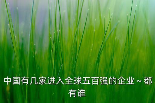 中國有幾家進入全球五百強的企業(yè)～都有誰