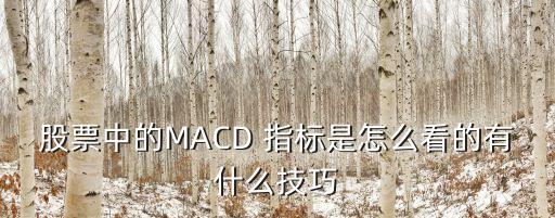 股票中的MACD 指標是怎么看的有什么技巧