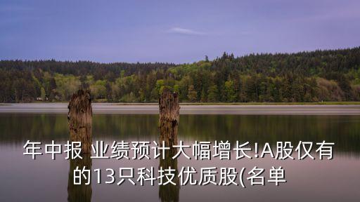 年中報 業(yè)績預(yù)計大幅增長!A股僅有的13只科技優(yōu)質(zhì)股(名單