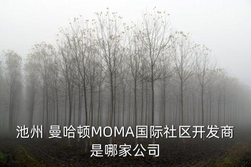 池州 曼哈頓MOMA國際社區(qū)開發(fā)商是哪家公司