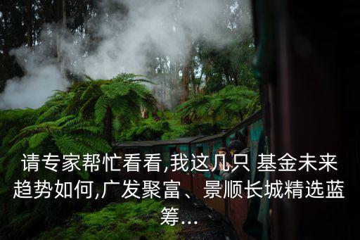 請專家?guī)兔纯?我這幾只 基金未來趨勢如何,廣發(fā)聚富、景順長城精選藍籌...