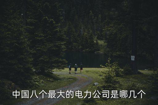 中國八個最大的電力公司是哪幾個