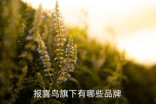 愷米切上海哪里有愷米切店鋪