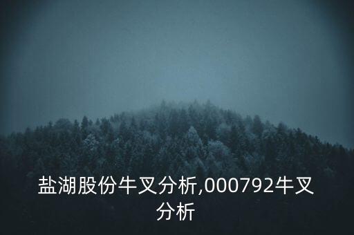 青海鋰業(yè)股票代碼,天齊鋰業(yè)股票代碼是多少