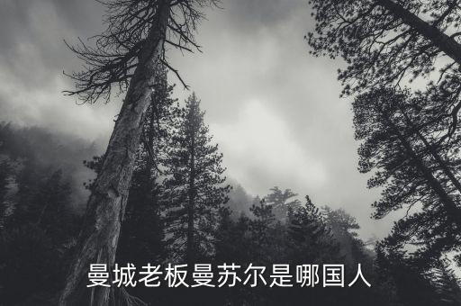 阿聯(lián)酋國際石油投資公司,國際石油投資公司IPIC