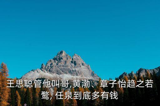 王思聰管他叫哥,黃渤、章子怡趨之若鶩, 任泉到底多有錢