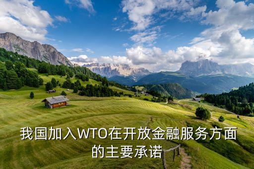  我國加入WTO在開放金融服務(wù)方面的主要承諾