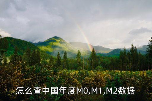 怎么查中國(guó)年度M0,M1,M2數(shù)據(jù)