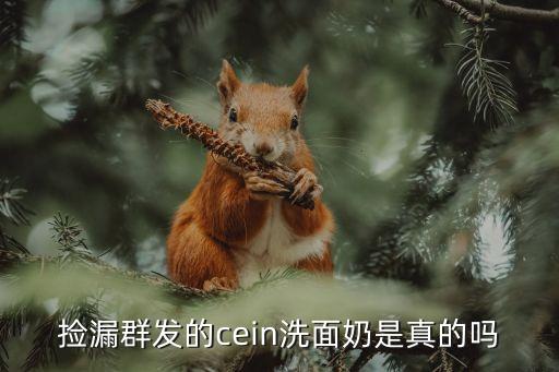 撿漏群發(fā)的cein洗面奶是真的嗎