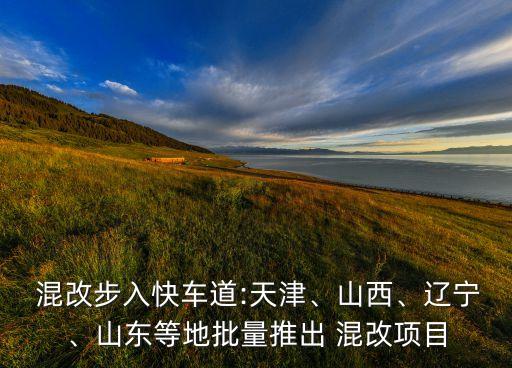  混改步入快車道:天津、山西、遼寧、山東等地批量推出 混改項(xiàng)目