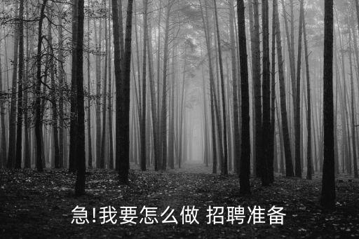 急!我要怎么做 招聘準(zhǔn)備