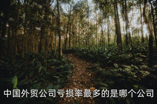 中國外貿(mào)公司虧損率最多的是哪個(gè)公司