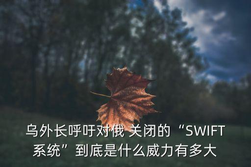 烏外長(zhǎng)呼吁對(duì)俄 關(guān)閉的“SWIFT系統(tǒng)”到底是什么威力有多大