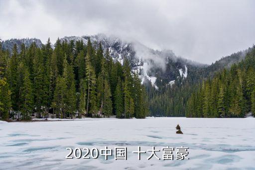 中國十大財(cái)富家族,世界十大財(cái)富家族排行榜