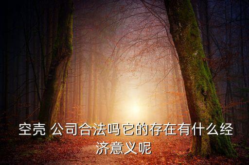  空殼 公司合法嗎它的存在有什么經(jīng)濟(jì)意義呢