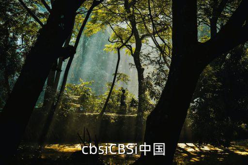 cbsiCBSi中國(guó)