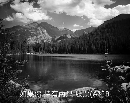 如果你 持有兩只 股票(A和B