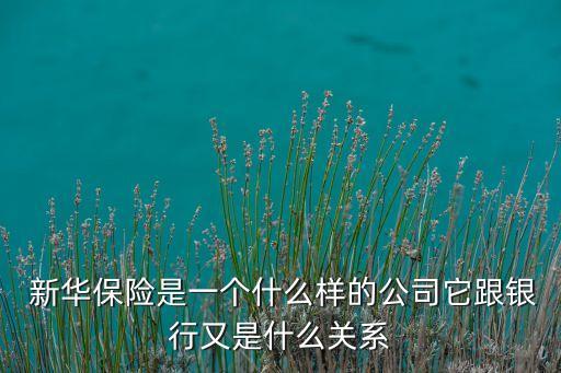 新華保險(xiǎn)重慶分公司王衛(wèi)