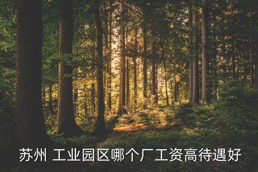 蘇州工業(yè)園區(qū)元為科技有限公司