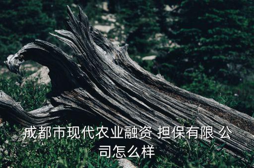 成都國有擔(dān)保公司招聘,黑龍江鑫正擔(dān)保公司招聘信息