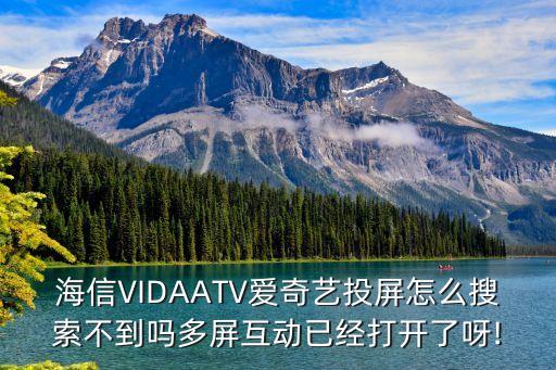 海信VIDAATV愛奇藝投屏怎么搜索不到嗎多屏互動(dòng)已經(jīng)打開了呀!