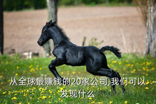 從全球最賺錢的20家公司,我們可以發(fā)現什么