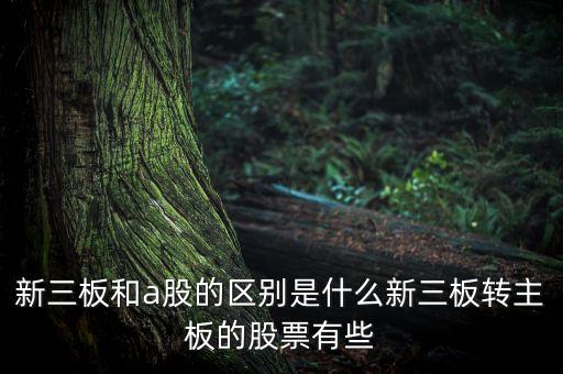 新三板和a股的區(qū)別是什么新三板轉(zhuǎn)主板的股票有些