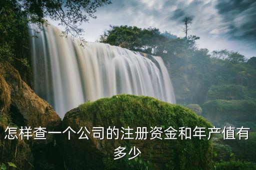 怎樣查一個(gè)公司的注冊(cè)資金和年產(chǎn)值有多少