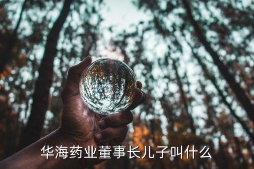 華海藥業(yè)董事長(zhǎng)兒子叫什么