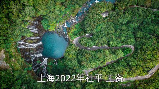  上海2022年社平 工資