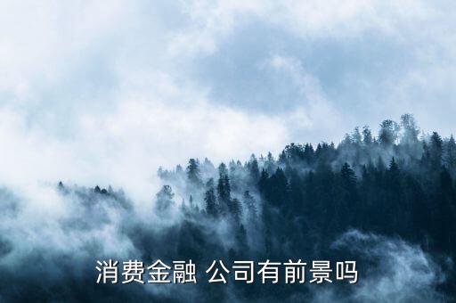 中國創(chuàng)新支付公司怎么樣