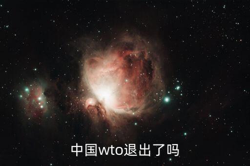 中國wto退出了嗎