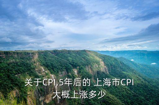 關(guān)于CPI,5年后的 上海市CPI大概上漲多少