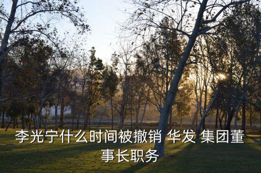 李光寧什么時(shí)間被撤銷(xiāo) 華發(fā) 集團(tuán)董事長(zhǎng)職務(wù)