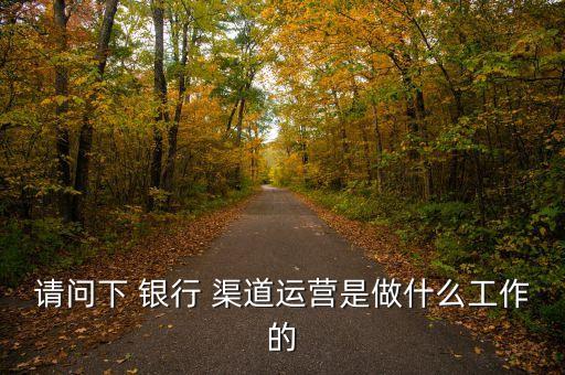 請問下 銀行 渠道運營是做什么工作的