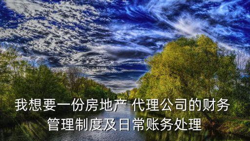 我想要一份房地產(chǎn) 代理公司的財務 管理制度及日常賬務處理