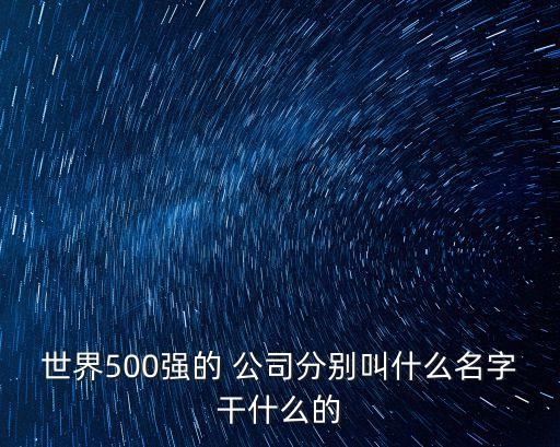 世界500強(qiáng)的 公司分別叫什么名字干什么的