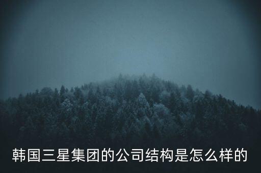 韓國三星集團的公司結構是怎么樣的