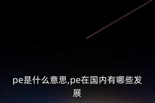 pe是什么意思,pe在國內有哪些發(fā)展