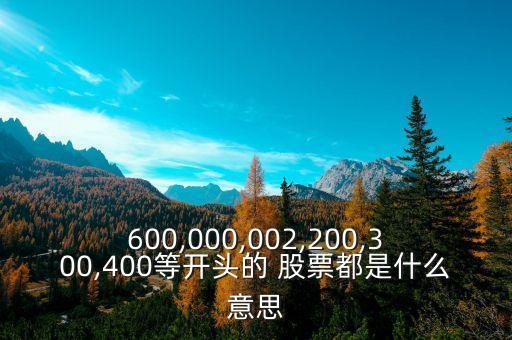 600,000,002,200,300,400等開頭的 股票都是什么意思