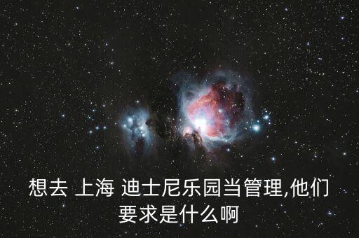 想去 上海 迪士尼樂園當(dāng)管理,他們要求是什么啊