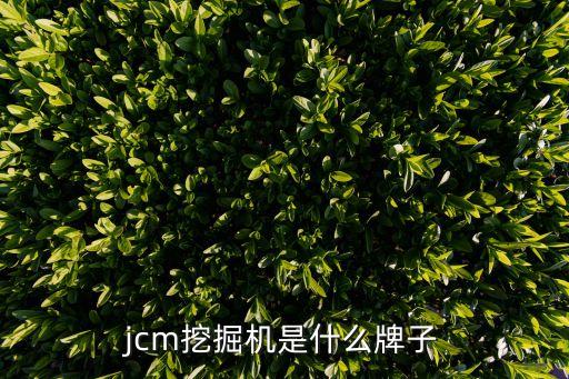 jcm挖掘機(jī)是什么牌子